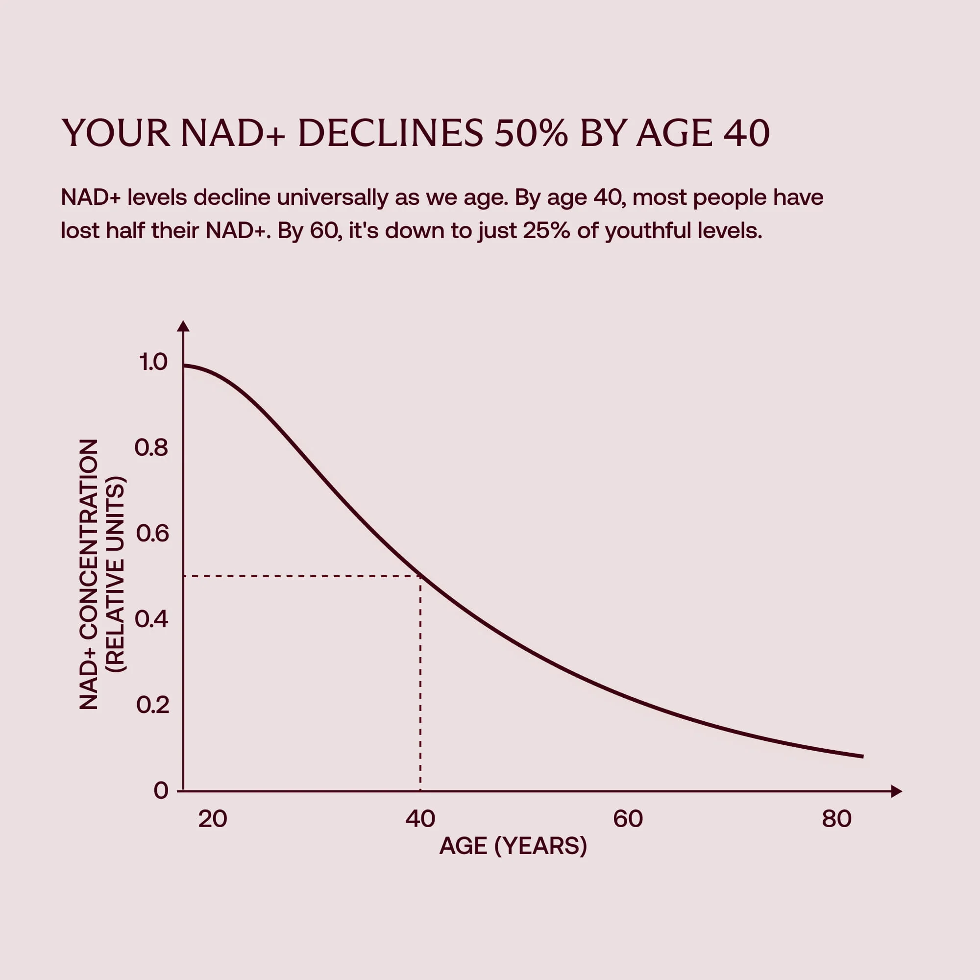Daily Ultimate Longevity: Healthy Aging - Image 4